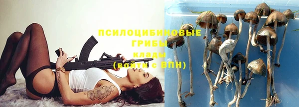 экстази Алексин