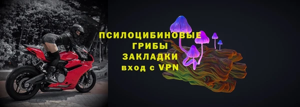 spice Алзамай