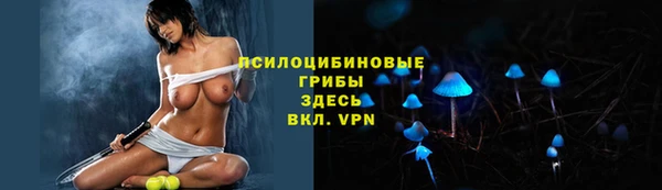 ГАЛЛЮЦИНОГЕННЫЕ ГРИБЫ Алексеевка