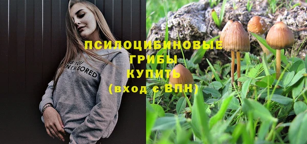 экстази Алексин