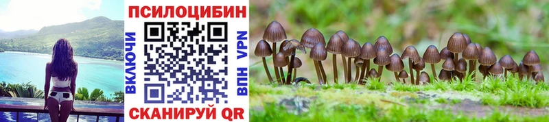 Галлюциногенные грибы Magic Shrooms  купить   Новошахтинск 
